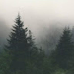 Meet your Posher, Void